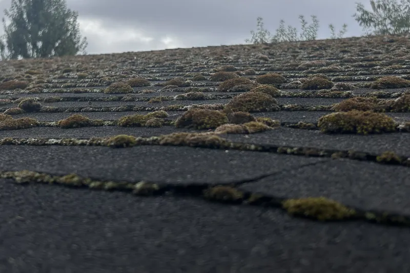 Up close before: thick moss packed along the shingle seams