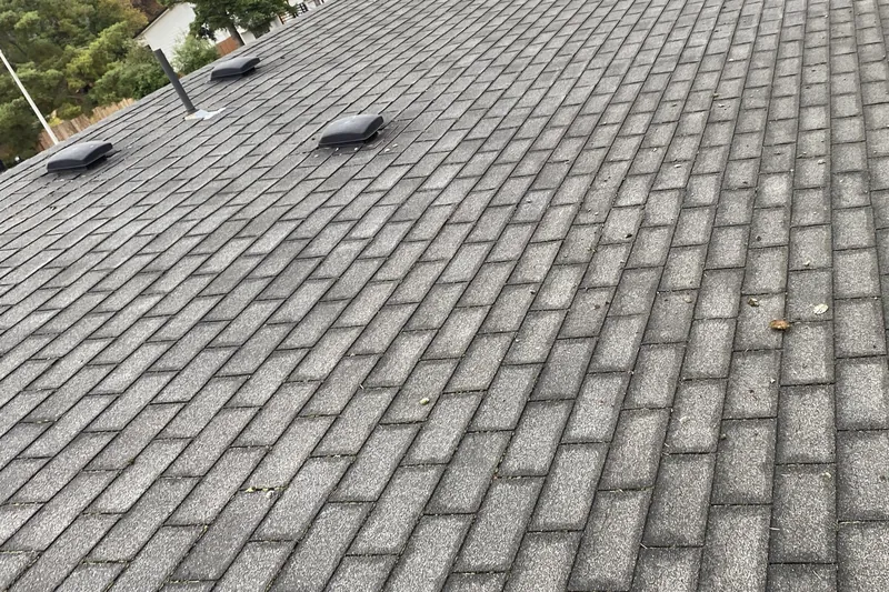 After: the same roof with the moss brushed off and the shingles clean